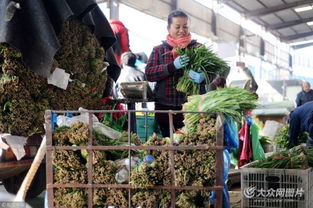 濟南憑雙證才能賣韭菜 出問題直接找源頭，食用農產品批發市場嚴把安全關